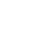Government